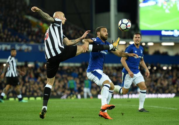 者将关注的 者将关注的